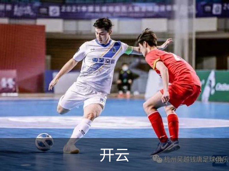 开云简介